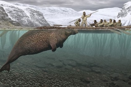 Steller tengeri tehén eltűnt vagy még életben a tudás világa