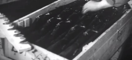 Mosin puska - háborús fegyverként (27 fotó) (puska) Mosin puska - háborús fegyverként (27 fotó)