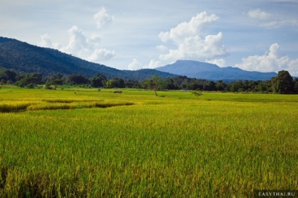 10 ok, hogy látogassa Chiang Mai és Észak-Thaiföldön