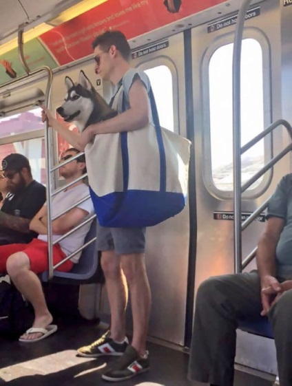 15 Képek mutatja, hogy a legfurcsább dolog a világon a metró