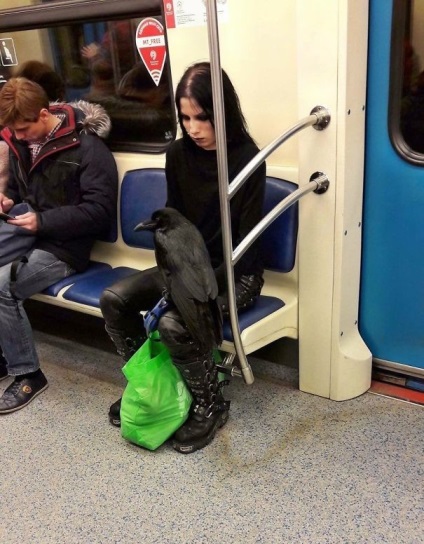 20 fotó, amely meggyőzni arról, hogy a Metro - a legfurcsább hely a földön (hely) 20 fotó, amely meggyőzni arról, hogy a Metro - a legfurcsább hely a Földön