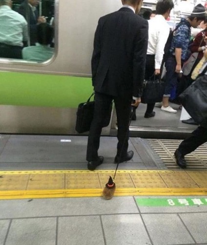 20 fotó, amely meggyőzni arról, hogy a Metro - a legfurcsább hely a földön (metró) 20 fotó, amely meggyőzni arról, hogy a Metro - a legfurcsább hely a Földön