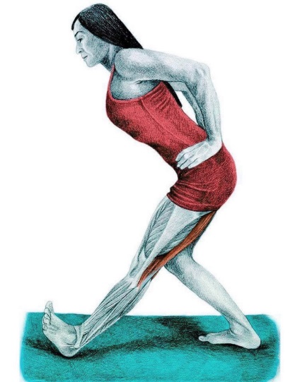 20 gyakorlatok lábak stretching (egyik lábát térd) 20 gyakorlatok lábak stretching
