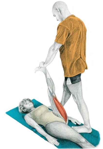 20 gyakorlatok lábak stretching (egyik lábát térd) 20 gyakorlatok lábak stretching