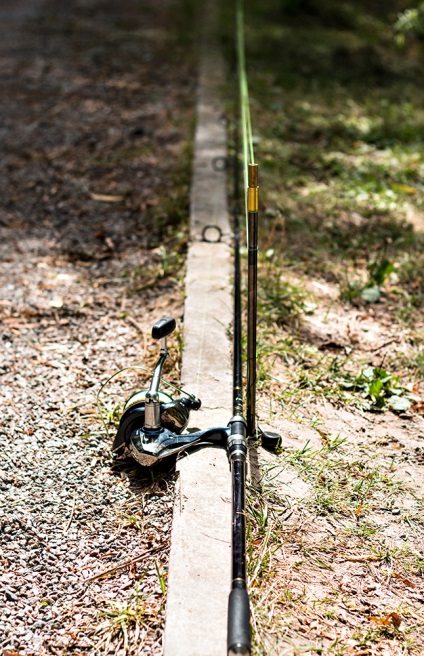 5 karpfishinga szabályok kezdőknek (a választott kender és a kukorica) 5 karpfishinga szabályok kezdőknek
