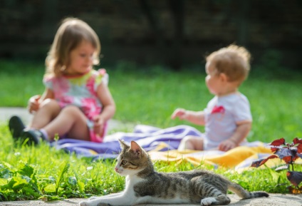 Allergiás a macskák nyilvánul, RU-babyhealth (látható) Allergiás a macskákra is megnyilvánul, ru-babyhealth