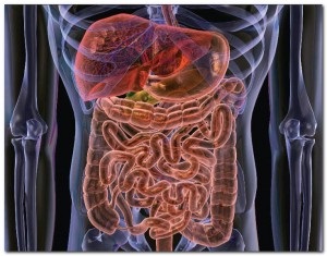 Anatsidny gyomorhurut, mi ez, tünetei és kezelése, az étrend és más ajánlások