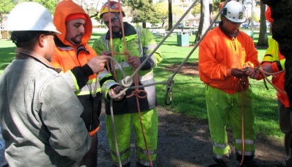 Arborist - a szakember, hogy távolítsa el a fák