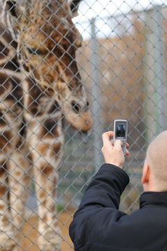 Blog fényképész, képeket az állatkertben