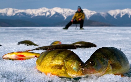 Cапоги для зимової риболовлі відгуки власників, топ кращих, поради щодо вибору