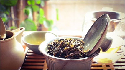 Pu-erh tea, vad és különleges tulajdonságai (Komkova vad Erh) Puer tea vad és különleges tulajdonságai