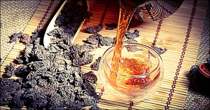 Pu-erh tea, vad és különleges tulajdonságai (Komkova vad Erh) Puer tea vad és különleges tulajdonságai
