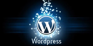 Cms wordpress - alapítványok, előnyök, és a munka a szervezet honlapján