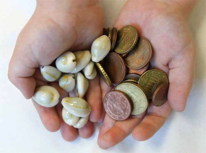 Pénz kagylópénz kagyló
