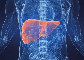 A diéta Hepatitis egy bizonyos ételek és receptek