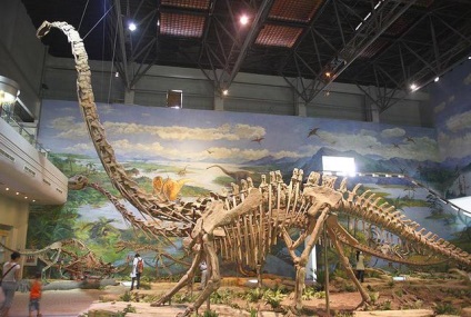 Динозаври з довгою шиєю різновиди, опис, місце існування