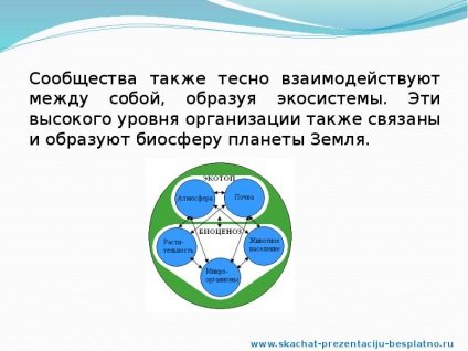 A jelentés a nemzeti közösségek (Slide prezentáció) A jelentés a nemzeti közösségek