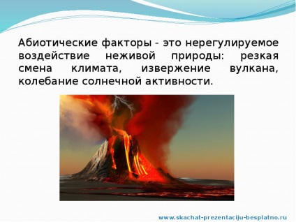 A jelentés a nemzeti közösségek (ppt) A jelentés a nemzeti közösségek