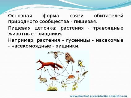 A jelentés a nemzeti közösségek (Slide prezentáció) A jelentés a nemzeti közösségek
