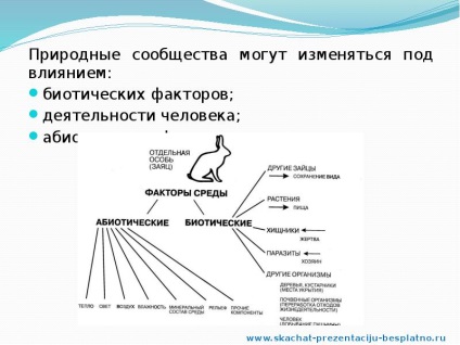 A jelentés a nemzeti közösségek (pptx) A jelentés a nemzeti közösségek