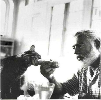 Ernest Hemingway és a 57 macska