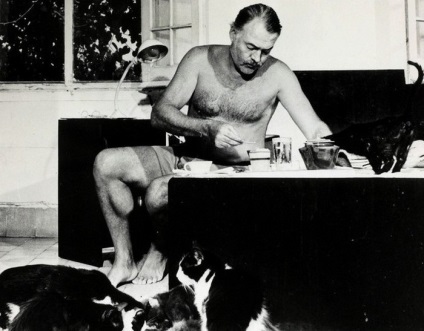 Ernest Hemingway és a szőrös kedvencek