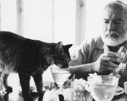 Ernest Hemingway és a szőrös kedvencek