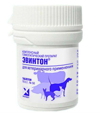Evinton - immunmodulátor macskáknak (evinton) Evinton - immunmodulátor macskáknak