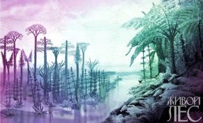 Az evolúció a fa - egy online magazin „Living Forest”