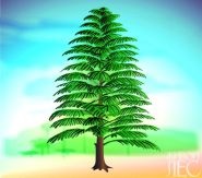 Az evolúció a fa - egy online magazin „Living Forest”