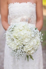Florists részletesen az esküvő hortenzia (Hydrangea) Florists részletesen hortenzia esküvői