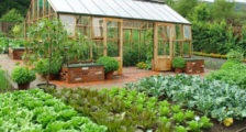 Gabionok kerttervezés, szép ház és kert
