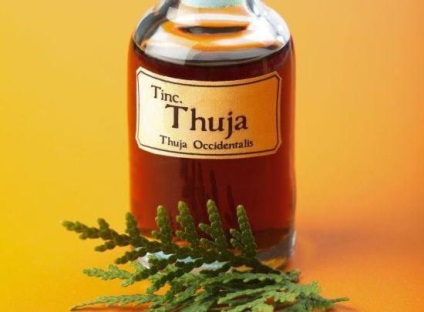 Homeopátia tuja (felhasználó, alkalmazás) (homeopátia) Homeopátia tuja (felhasználó, alkalmazás)