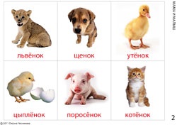 Játék memória - játék - tanulságok a gyermek - a szerző projekt Natalia gruhinoy (játék) Játék memória - játék - tanulságok a gyermek - a szerző projekt Natalia gruhinoy
