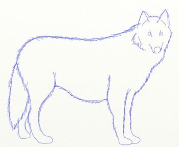 Ahogy narisovt Wolf, Wolf rajz szakaszában ceruza (ceruza) Ahogy narisovt Wolf, Wolf rajz szakaszában ceruza
