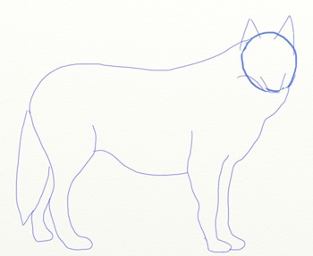 Ahogy narisovt Wolf, Wolf rajz szakaszában ceruza