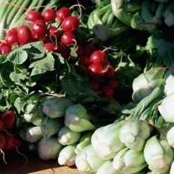 Hogyan megtalálni és semlegesíteni a nitrátok zöldségek és gyümölcsök - kíváncsi finom - könnyen elkészíthető!