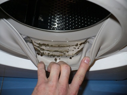Hogyan tisztítsa meg a mosógép penész, tippeket oszthatnak