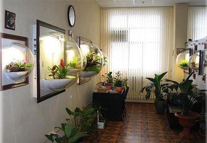 Hogyan készítsünk saját kezűleg florarium (florarium) Hogyan készítsünk saját kezét florarium