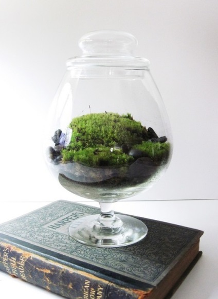 Hogyan készítsünk saját kezűleg florarium (florarium) Hogyan készítsünk saját kezét florarium