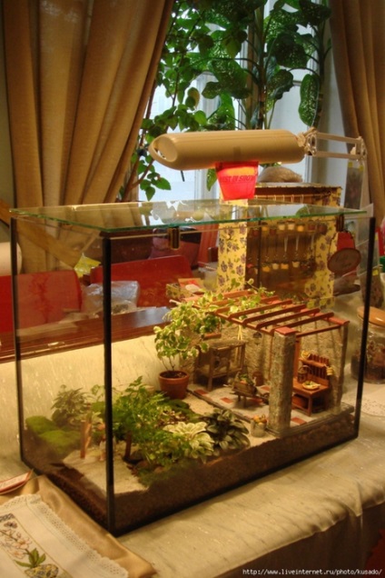 Hogyan florarium a kezüket (csinálni) Hogyan készítsünk saját kezét florarium