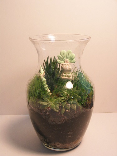 Hogyan florarium a kezüket (csinálni) Hogyan készítsünk saját kezét florarium