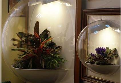 Hogyan florarium a kezüket (csinálni) Hogyan készítsünk saját kezét florarium