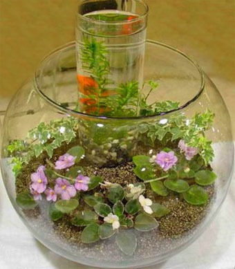 Hogyan készítsünk saját kezűleg florarium (florarium) Hogyan készítsünk saját kezét florarium