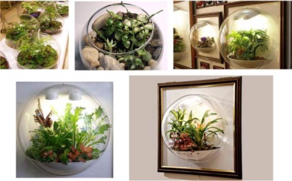 Hogyan készítsünk saját kezűleg florarium (florarium) Hogyan készítsünk saját kezét florarium