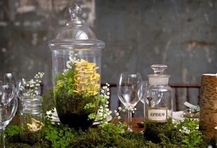 Hogyan készítsünk saját kezűleg florarium (florarium) Hogyan készítsünk saját kezét florarium