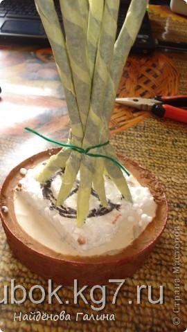 Hogyan készítsünk egy hordó sleplennogo bonsai, gubanc