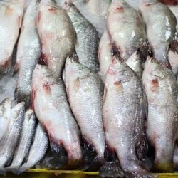 Mivel a só folyami hal (szárított hal, sügér, törpeharcsa, sivár, Roach) otthon recept