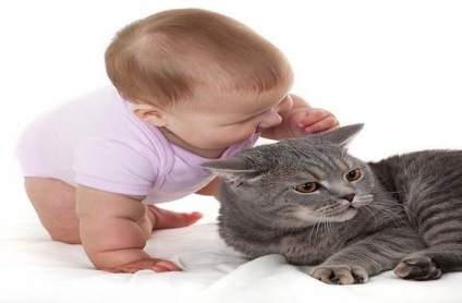 Mivel a gyerekek allergiás a macskákra tünetek