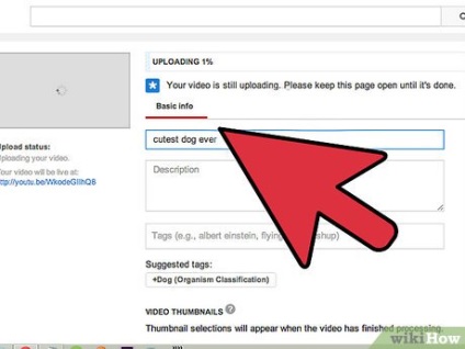 Hogyan lehet növelni a videók számát a YouTube-on (youtube) Hogyan lehet növelni a videók számát a YouTube-on